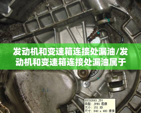 发动机和变速箱连接处漏油/发动机和变速箱连接处漏油属于什么故障 发动机和变速箱连接处漏油/发动机和变速箱连接处漏油属于什么故障