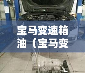 宝马变速箱油(宝马变速箱油有必要换吗) 宝马变速箱油(宝马变速箱油有必要换吗)