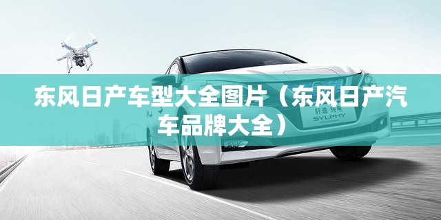 东风日产车型大全图片（东风日产汽车品牌大全）