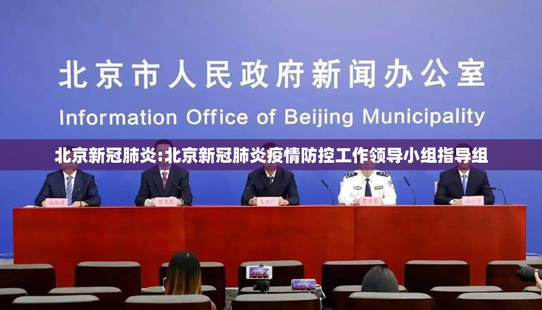 北京新冠肺炎:北京新冠肺炎疫情防控工作领导小组指导组