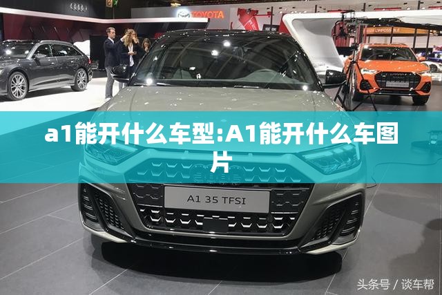 a1能开什么车型:A1能开什么车图片 a1能开什么车型:A1能开什么车图片