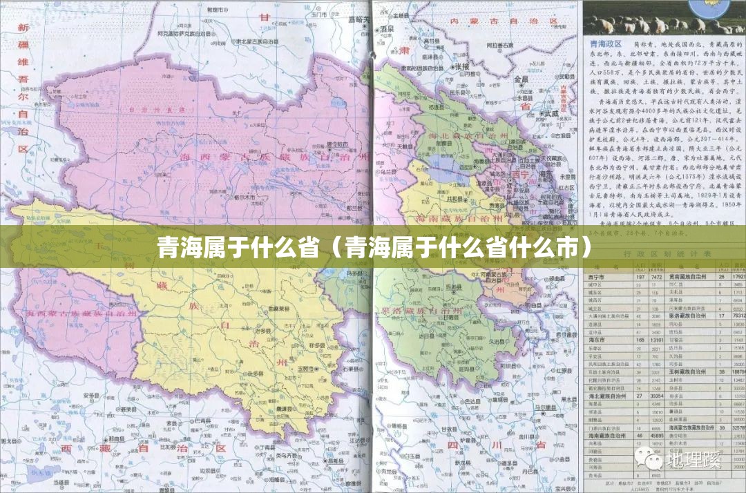 青海属于什么省(青海属于什么省什么市) 青海属于什么省(青海属于什么省什么市)
