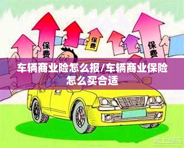 车辆商业险怎么报/车辆商业保险怎么买合适 车辆商业险怎么报/车辆商业保险怎么买合适
