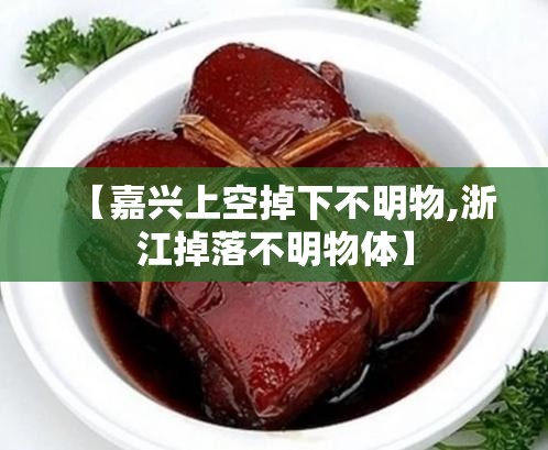 【嘉兴上空掉下不明物,浙江掉落不明物体】 【嘉兴上空掉下不明物,浙江掉落不明物体】