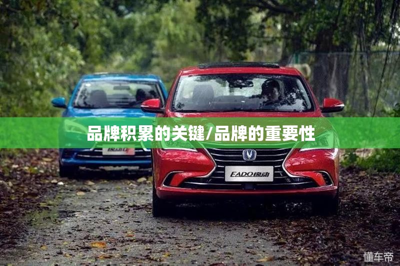 品牌积累的关键/品牌的重要性 品牌积累的关键/品牌的重要性
