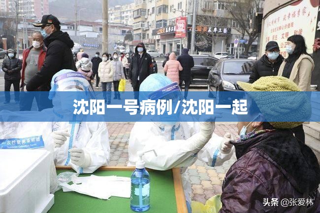 沈阳一号病例/沈阳一起 沈阳一号病例/沈阳一起