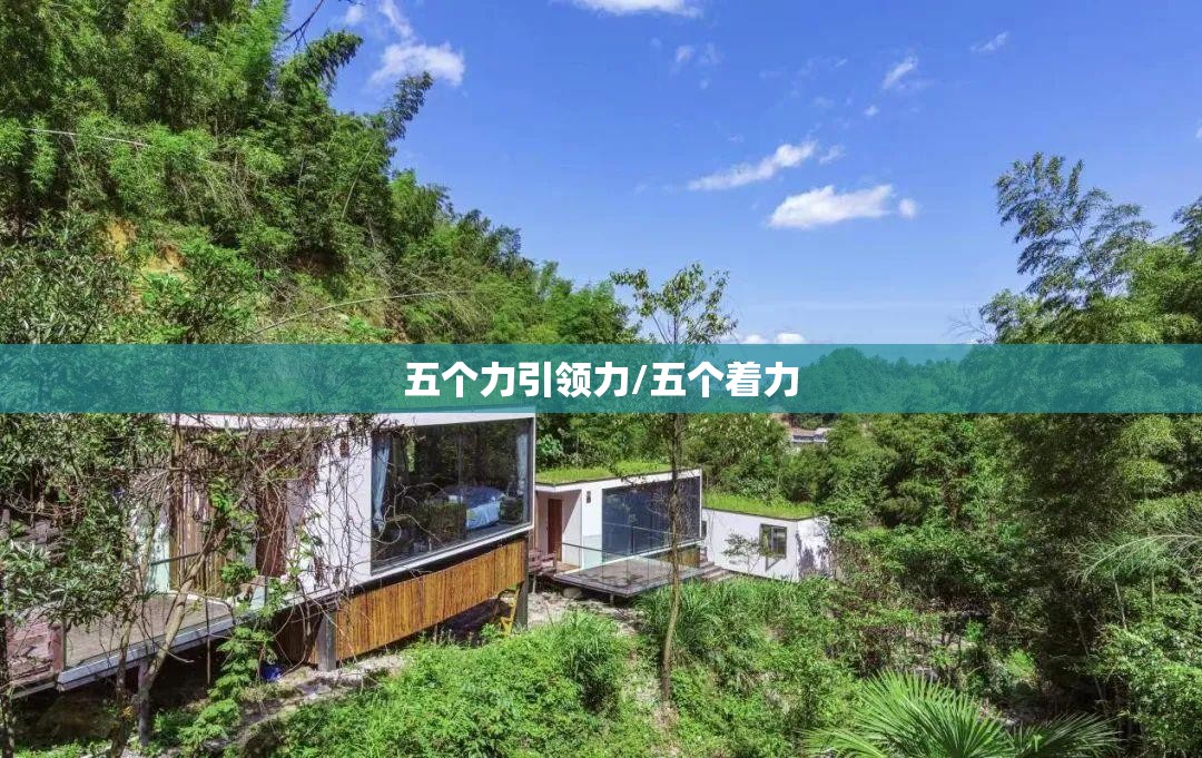 五个力引领力/五个着力