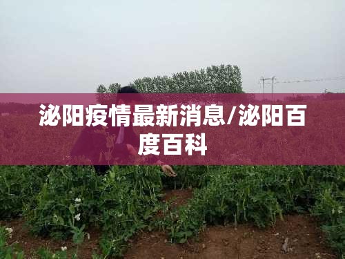 泌阳疫情最新消息/泌阳百度百科
