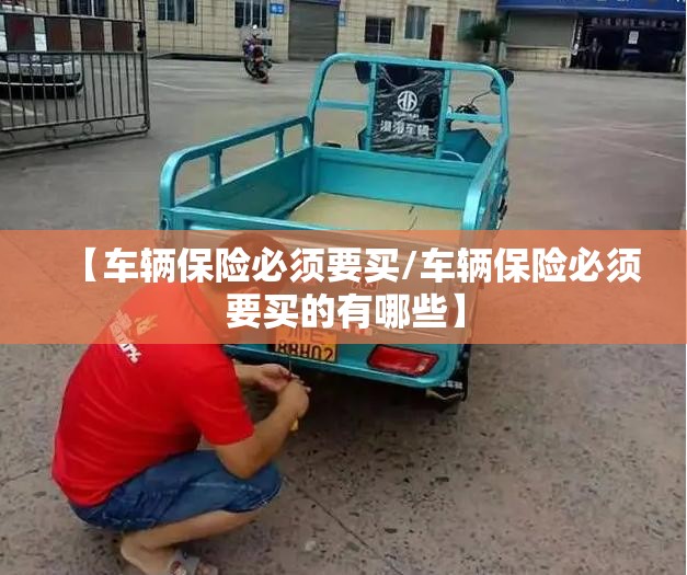 【车辆保险必须要买/车辆保险必须要买的有哪些】
