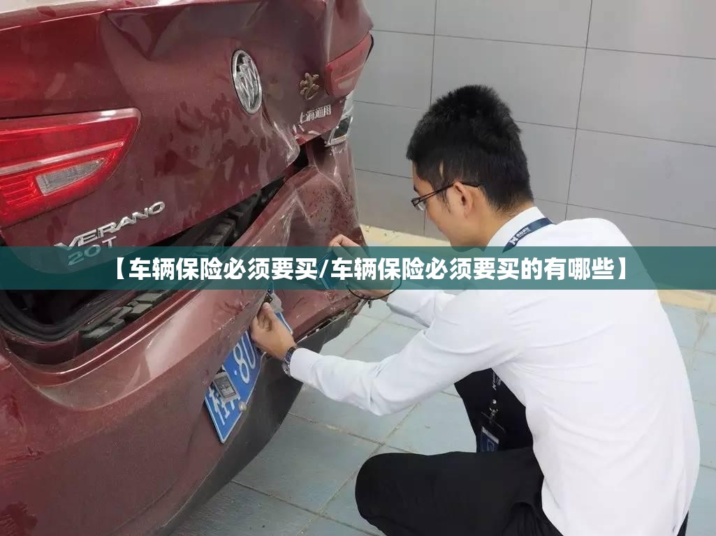 【车辆保险必须要买/车辆保险必须要买的有哪些】