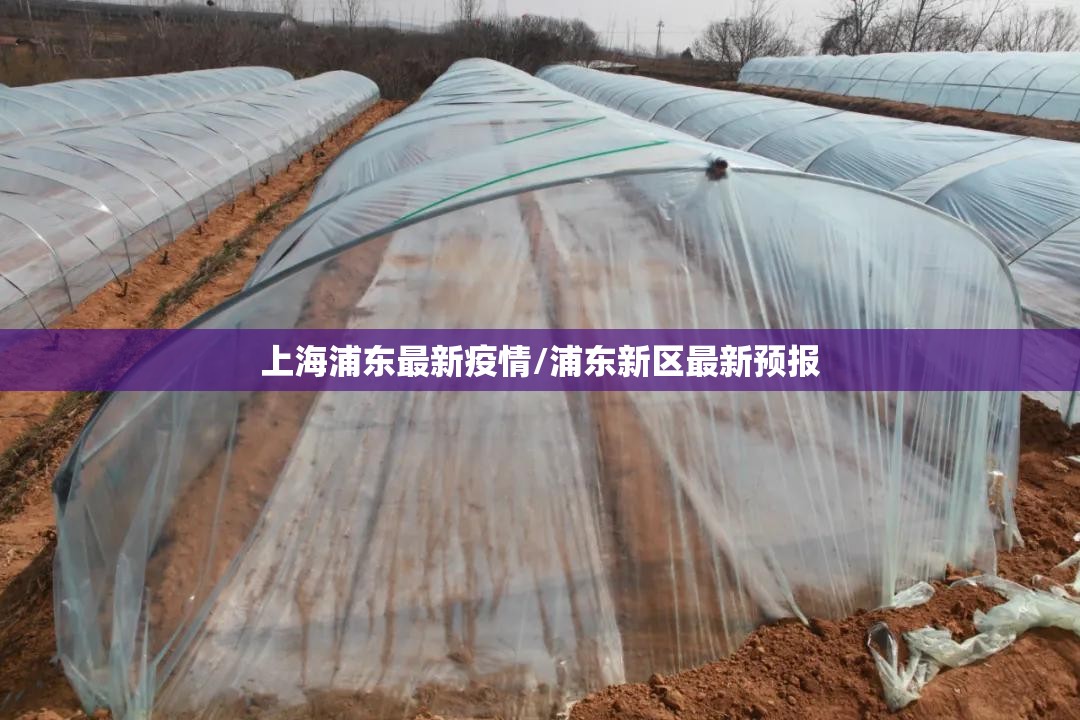上海浦东最新疫情/浦东新区最新预报