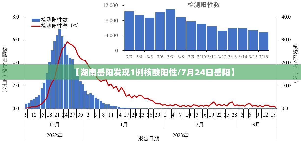 【湖南岳阳发现1例核酸阳性/7月24日岳阳】