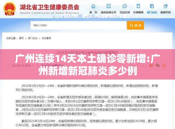 广州连续14天本土确诊零新增:广州新增新冠肺炎多少例