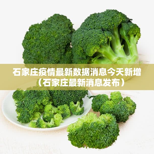 石家庄疫情最新数据消息今天新增(石家庄最新消息发布) 石家庄疫情最新数据消息今天新增(石家庄最新消息发布)