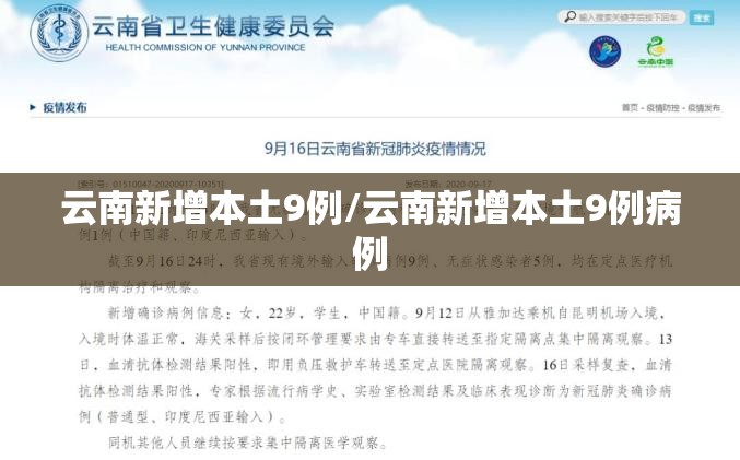 云南新增本土9例/云南新增本土9例病例