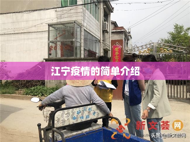 江宁疫情的简单介绍 江宁疫情的简单介绍