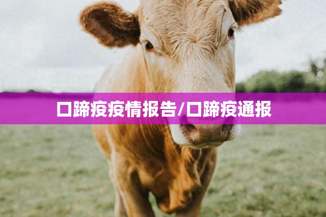 口蹄疫疫情报告/口蹄疫通报 口蹄疫疫情报告/口蹄疫通报
