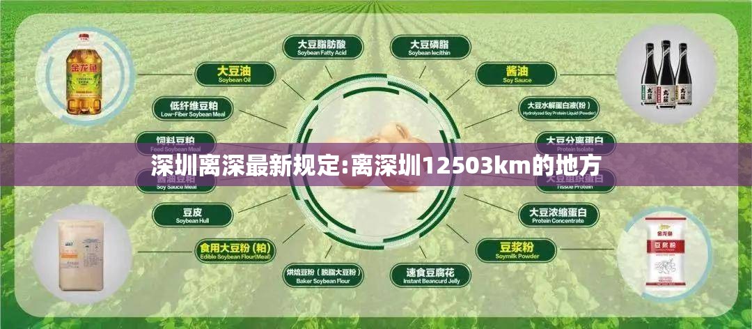 深圳离深最新规定:离深圳12503km的地方