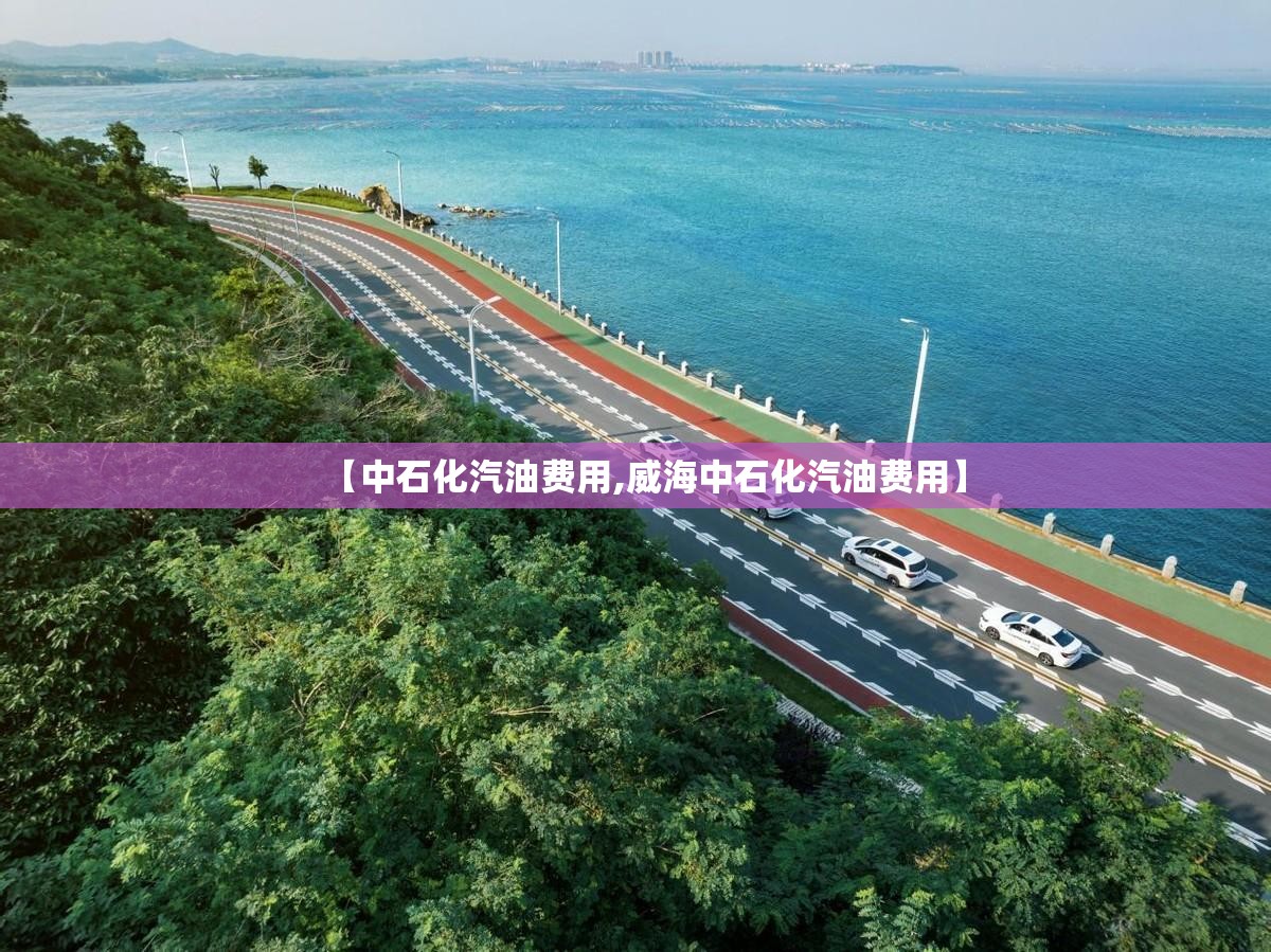 【中石化汽油费用,威海中石化汽油费用】
