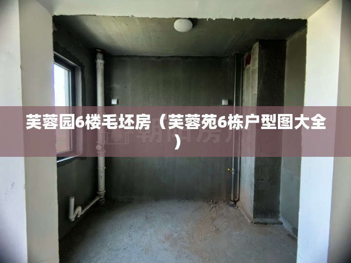 芙蓉园6楼毛坯房（芙蓉苑6栋户型图大全）