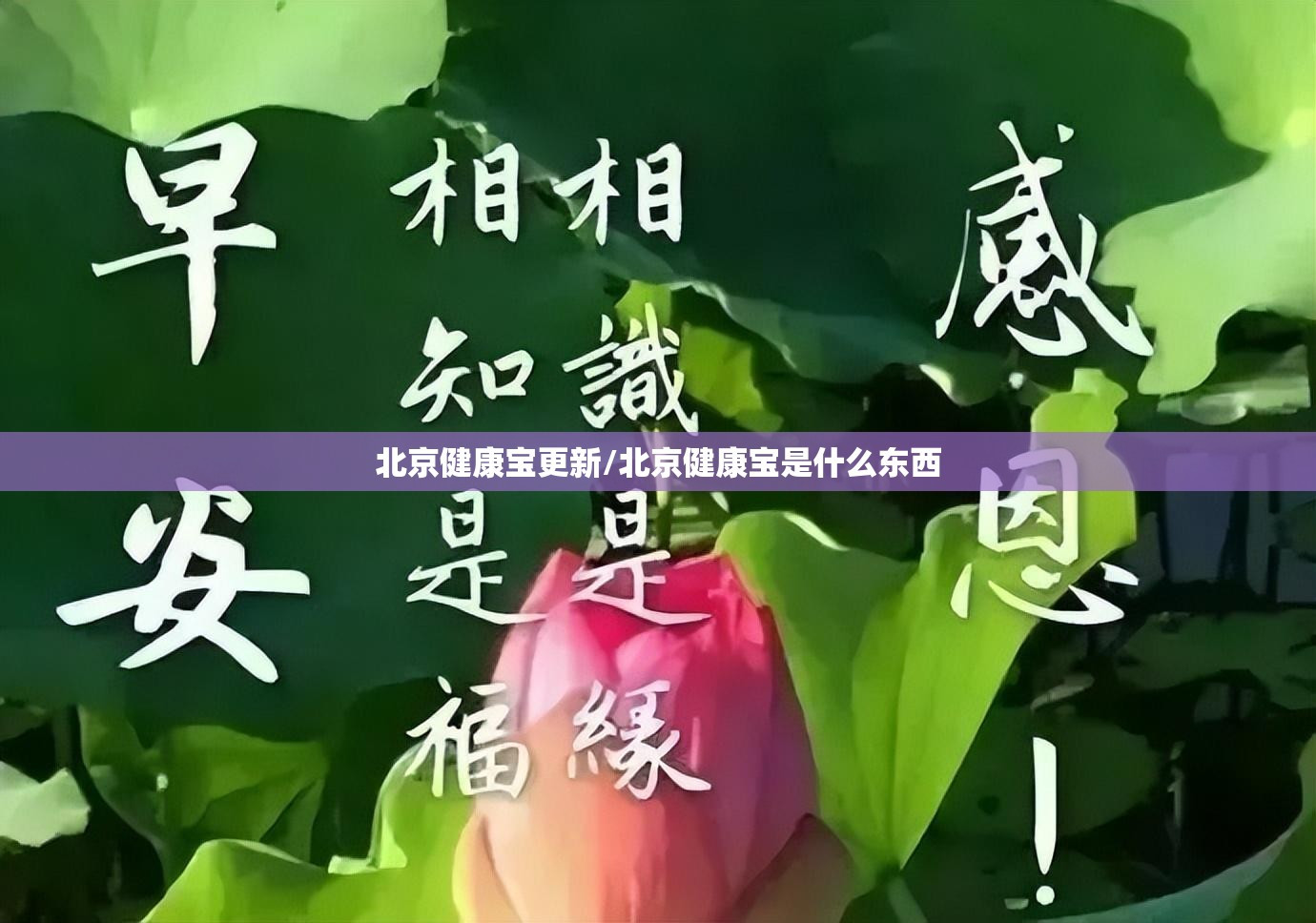 北京健康宝更新/北京健康宝是什么东西 北京健康宝更新/北京健康宝是什么东西
