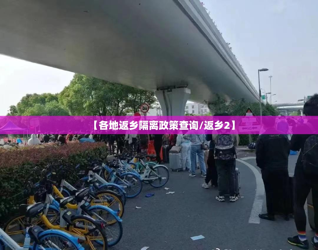 【各地返乡隔离政策查询/返乡2】 【各地返乡隔离政策查询/返乡2】