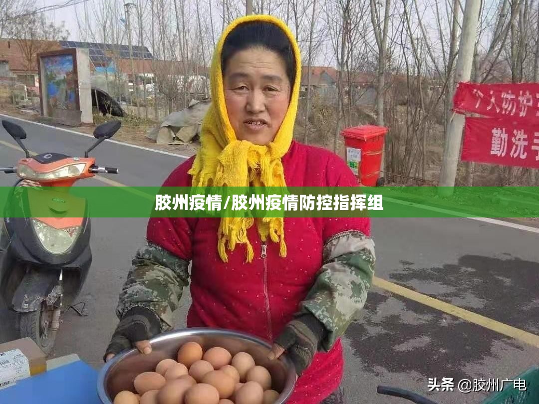胶州疫情/胶州疫情防控指挥组 胶州疫情/胶州疫情防控指挥组