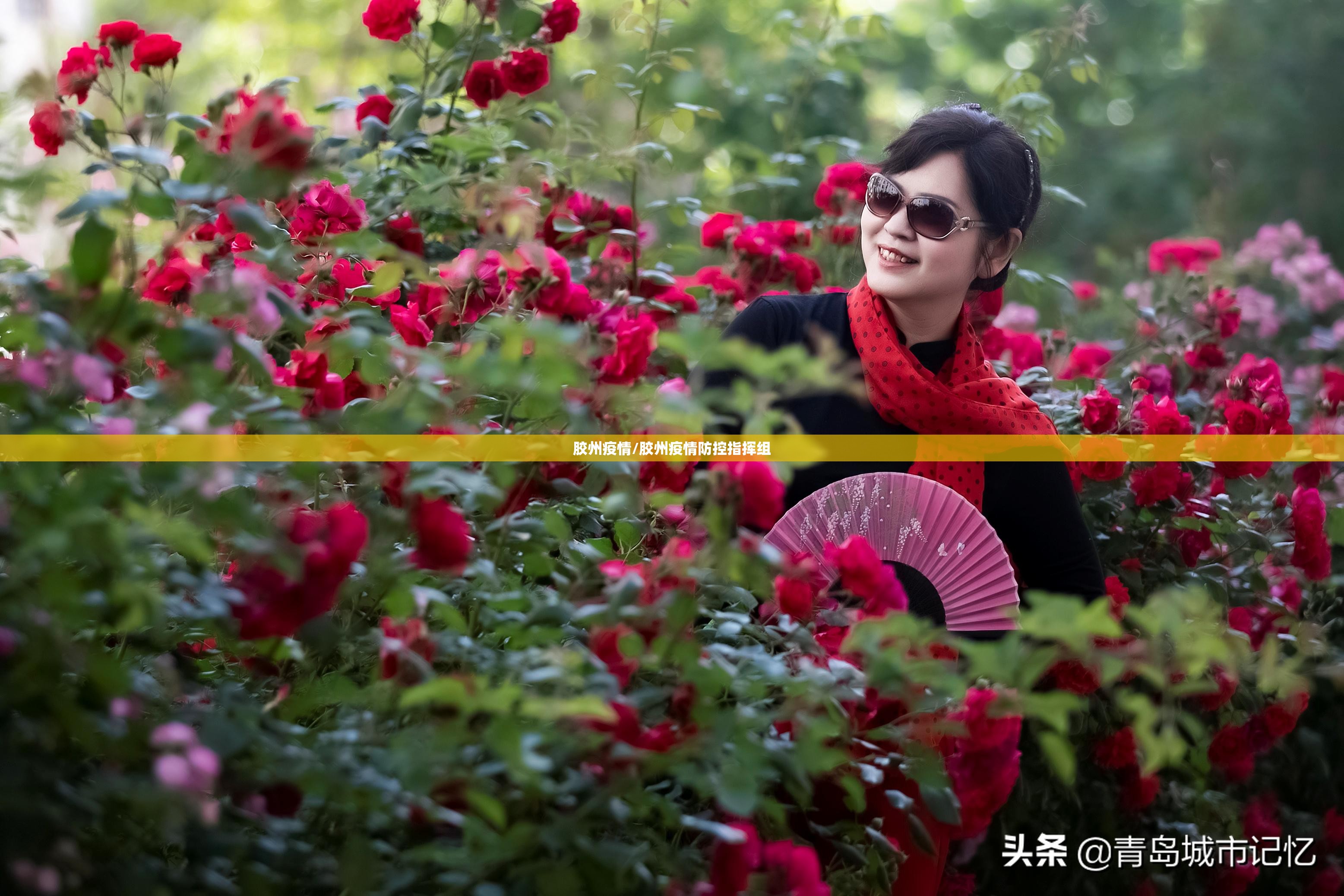 胶州疫情/胶州疫情防控指挥组 胶州疫情/胶州疫情防控指挥组