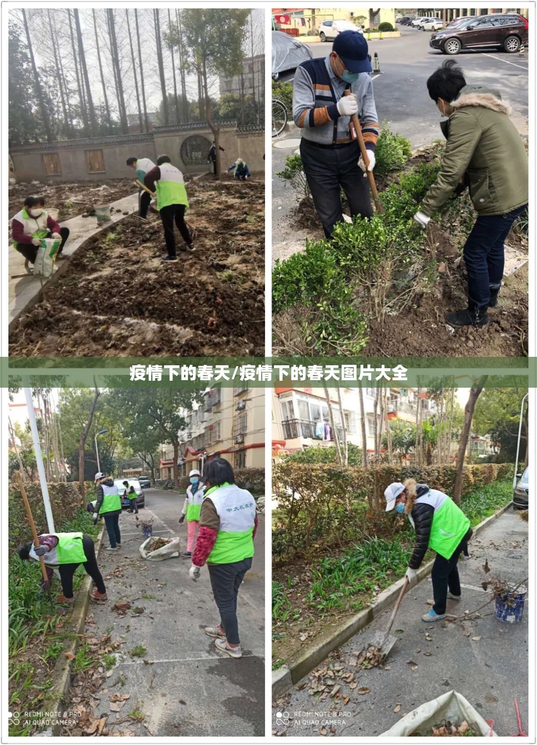 疫情下的春天/疫情下的春天图片大全