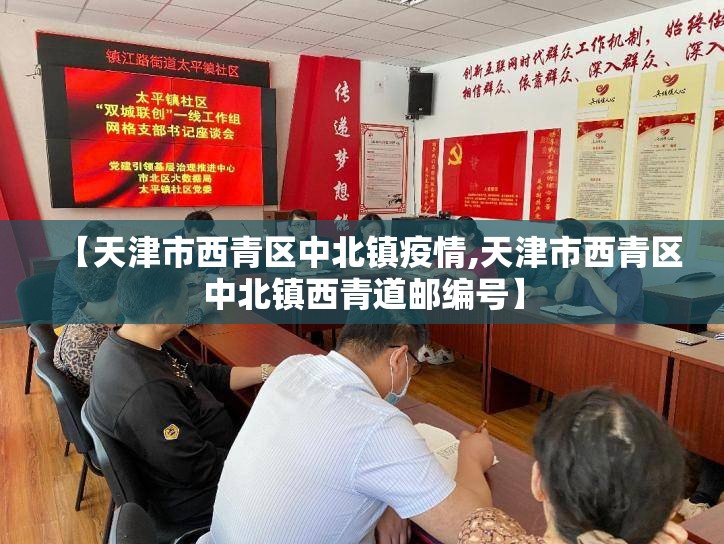 【天津市西青区中北镇疫情,天津市西青区中北镇西青道邮编号】