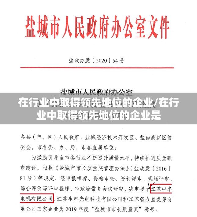 在行业中取得领先地位的企业/在行业中取得领先地位的企业是 在行业中取得领先地位的企业/在行业中取得领先地位的企业是