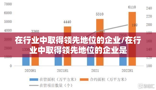 在行业中取得领先地位的企业/在行业中取得领先地位的企业是 在行业中取得领先地位的企业/在行业中取得领先地位的企业是