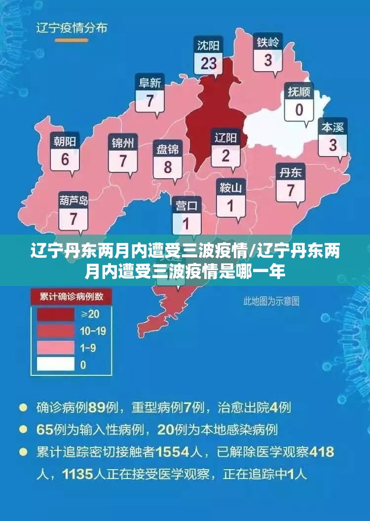 辽宁丹东两月内遭受三波疫情/辽宁丹东两月内遭受三波疫情是哪一年