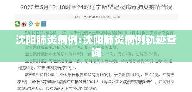 沈阳肺炎病例:沈阳肺炎病例轨迹查询