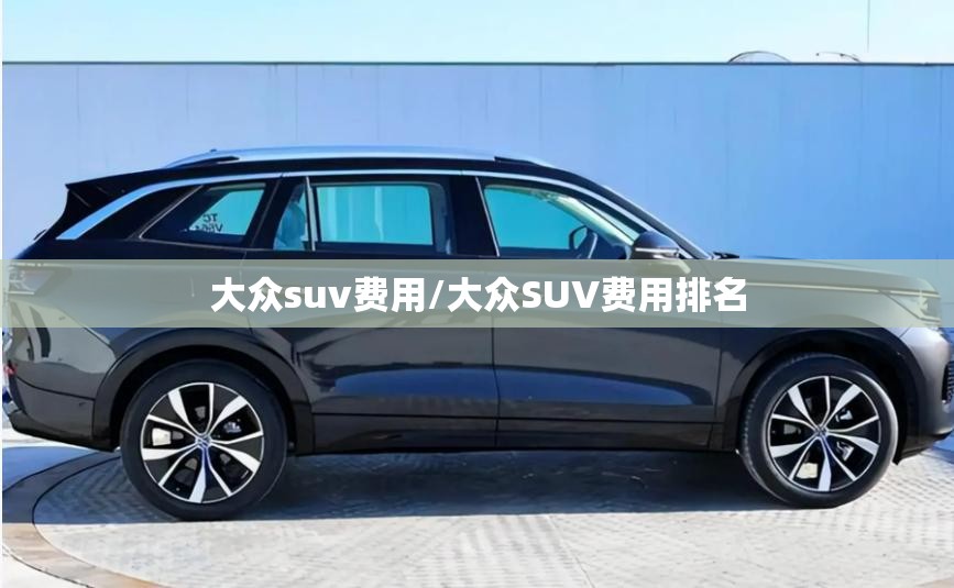 大众suv费用/大众SUV费用排名 大众suv费用/大众SUV费用排名