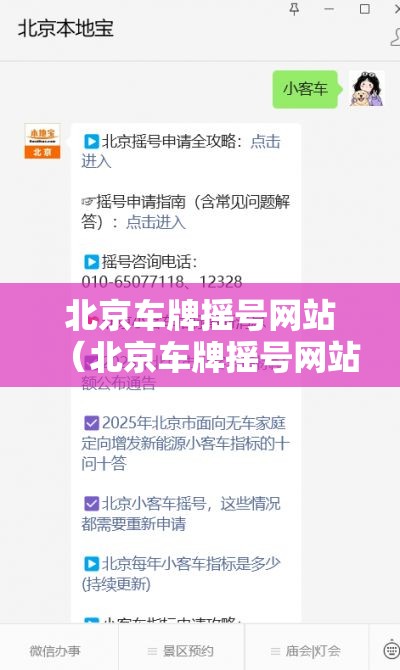 北京车牌摇号网站（北京车牌摇号网站查询）