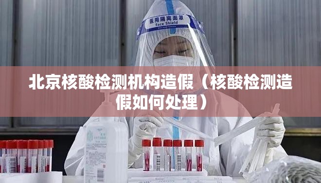 北京核酸检测机构造假（核酸检测造假如何处理）