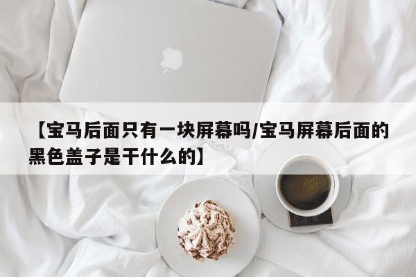 【宝马后面只有一块屏幕吗/宝马屏幕后面的黑色盖子是干什么的】