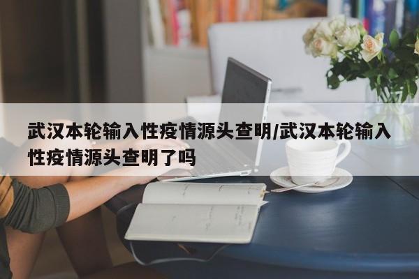 武汉本轮输入性疫情源头查明/武汉本轮输入性疫情源头查明了吗