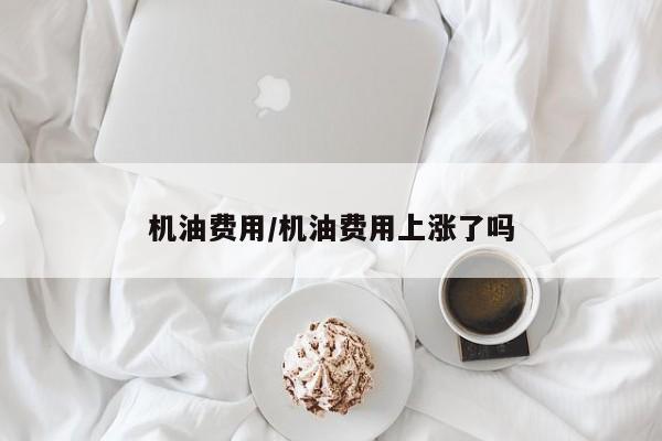 机油费用/机油费用上涨了吗