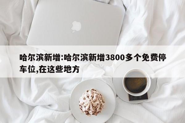 哈尔滨新增:哈尔滨新增3800多个免费停车位,在这些地方