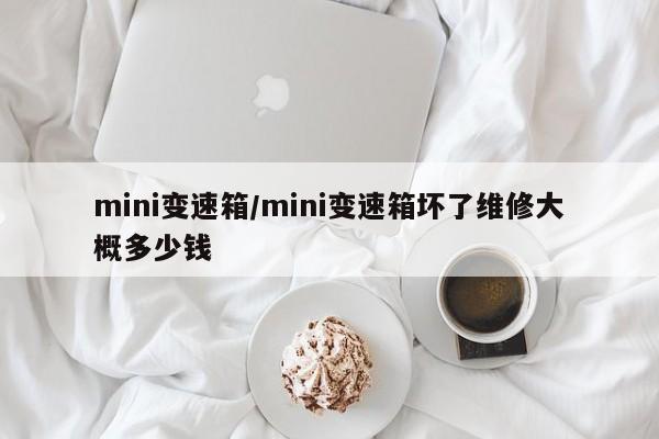 mini变速箱/mini变速箱坏了维修大概多少钱