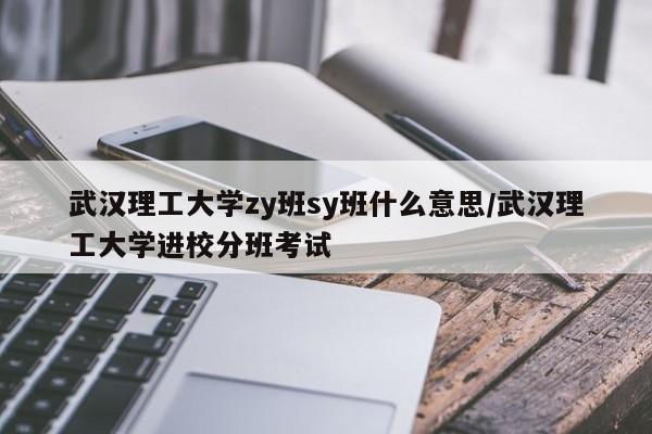 武汉理工大学zy班sy班什么意思/武汉理工大学进校分班考试