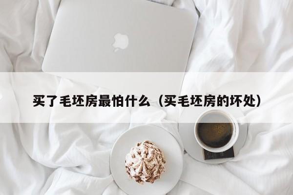 买了毛坯房最怕什么(买毛坯房的坏处)
