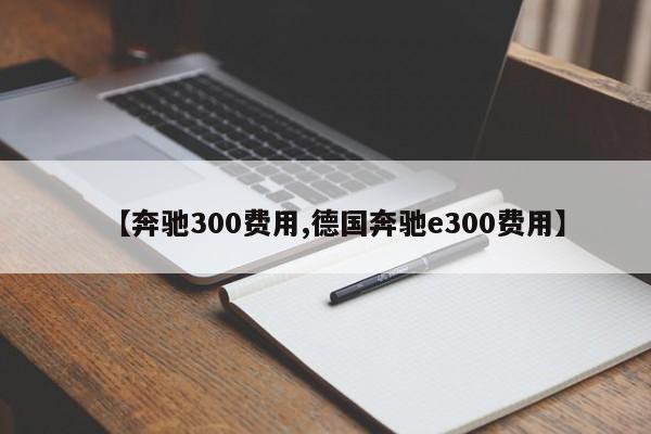 【奔驰300费用,德国奔驰e300费用】