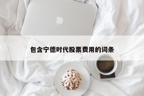 包含宁德时代股票费用的词条