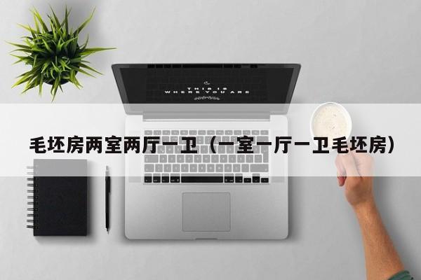 毛坯房两室两厅一卫(一室一厅一卫毛坯房)