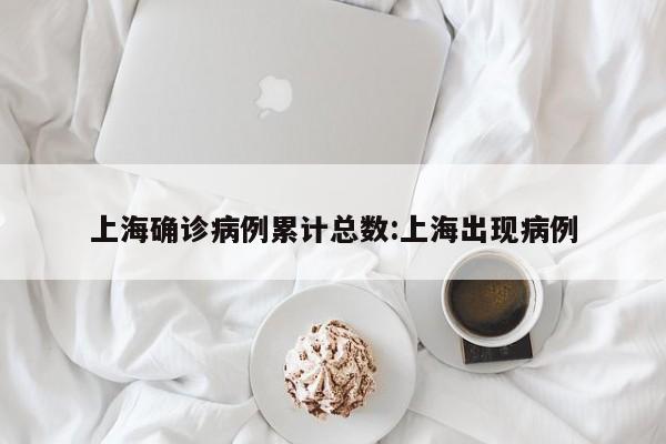 上海确诊病例累计总数:上海出现病例