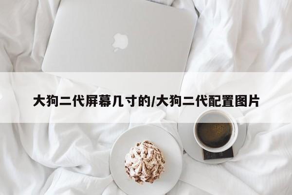 大狗二代屏幕几寸的/大狗二代配置图片