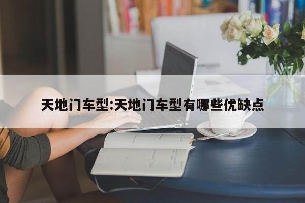 天地门车型:天地门车型有哪些优缺点